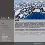 Delicate-Issues