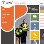 Tekosocks
